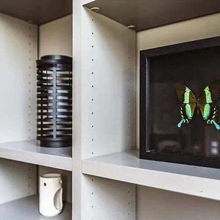 Апартаменты L'elegance Vue Parc *