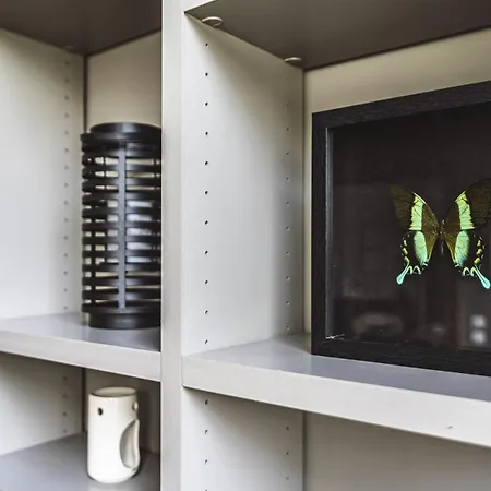 Appartement L'elegance Vue Parc Reims